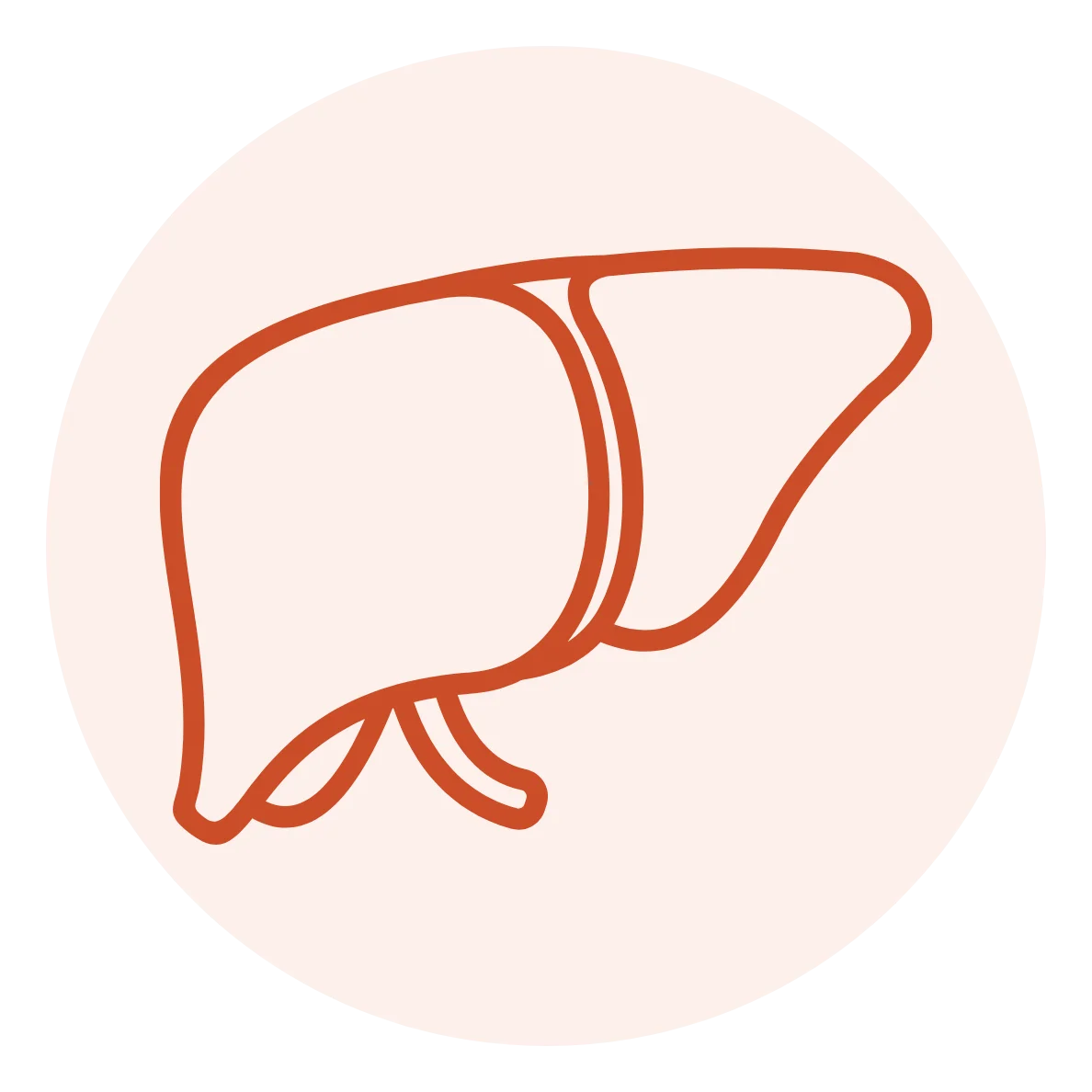 Fatty Liver