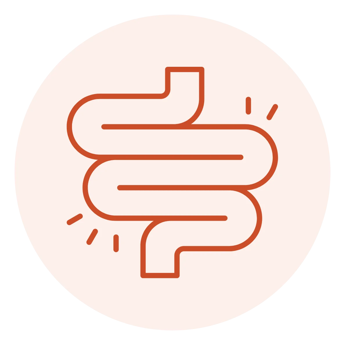 Gut Health & Digestion