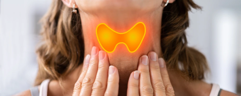 thyroid